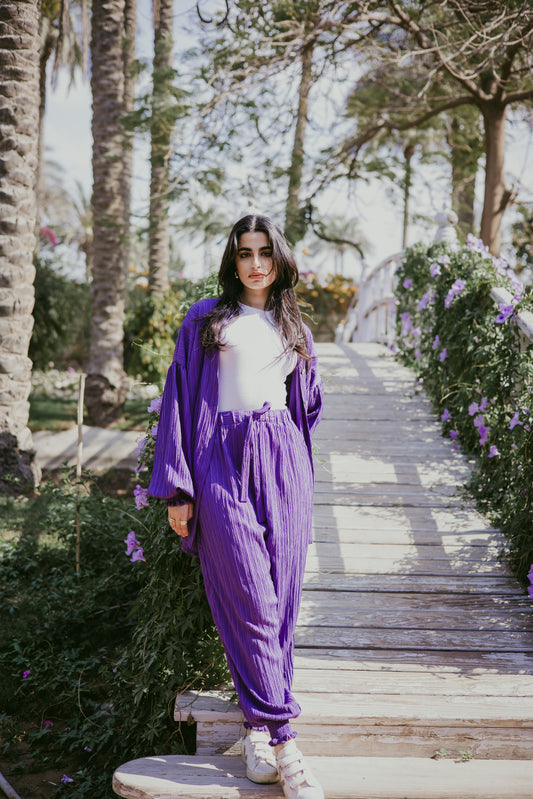 Sulley set in purple